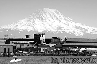 Mt. Rainer From Tacoma Sound black and white picture