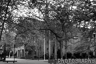 Eastvold Chapel Through Trees black and white picture