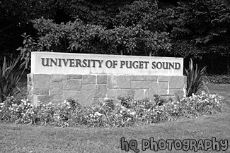 University of Puget Sound Sign black and white picture