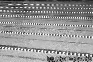 Swimming Pool black and white picture