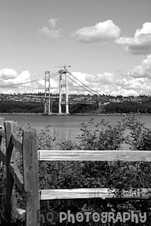 Narrows Bridge Construction & Fence black and white picture