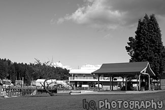 Gig Harbor, Washington black and white picture