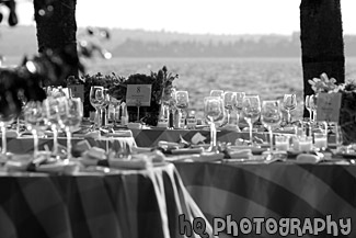 Tables & Wine Glass at a Wedding black and white picture