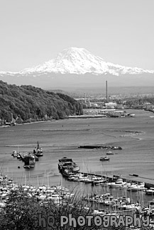 Commencement Bay & Mt. Rainier black and white picture