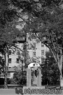 Back of Harstad Hall at PLU black and white picture