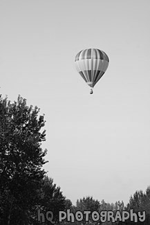 Scenic Hot Air Balloon black and white picture