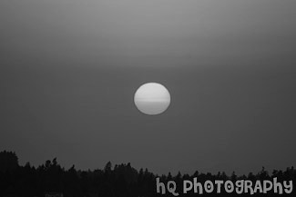 Red Sun During Sunset black and white picture