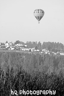 Hot Air Balloon, Trees, & Crystal Ridge black and white picture