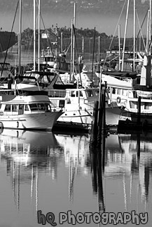 Close Up of Sailboats & Reflection black and white picture