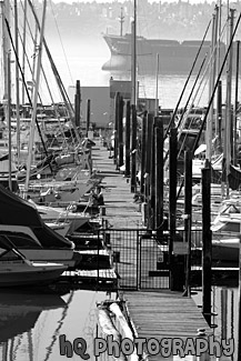 Dock & Sailboats in Tacoma black and white picture