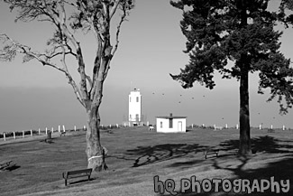 Brown's Point Lighthouse, Fog, and Trees black and white picture