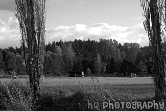 Farmland in Countryside of Orting, Washington black and white picture