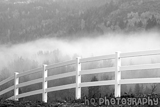 White Fence &  Fog black and white picture