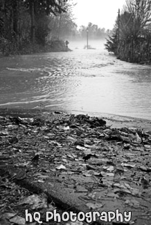 Puyallup River Flooding Over Road black and white picture