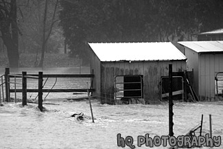 Farm Shed in Flooded by River black and white picture