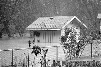 Shed Flooded by River black and white picture