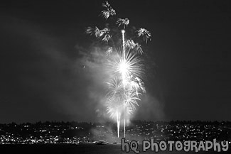 Fireworks at Night black and white picture