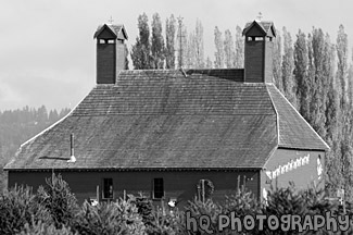 Red Barn & Xmas Decorations black and white picture