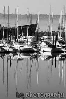 Sailboats & Reflections black and white picture