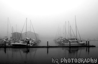 Sailboats in Fog black and white picture