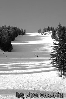 Ski Slope at Big Mountain black and white picture