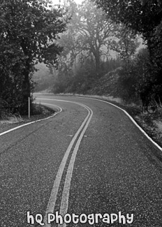 Yellow Stripe on Black & White Road black and white picture