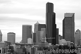 Downtown Seattle Buildings on Cloudy Day black and white picture