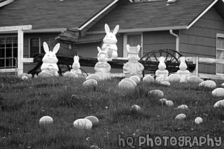 Easter Display in Yard black and white picture