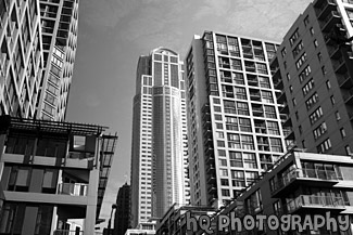 Buildings in Seattle black and white picture