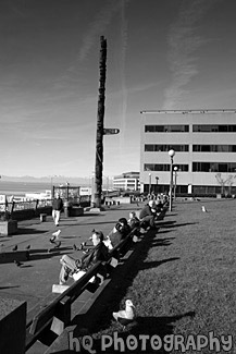 People Enjoying Seattle black and white picture