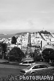 Cars Going Down Lombard Street black and white picture