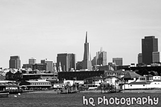 Financial District from Water black and white picture