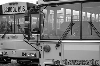 School Buses black and white picture