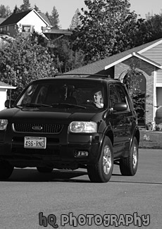 SUV Driving black and white picture