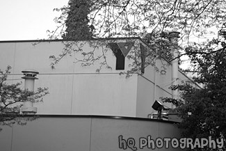 YMCA Building & Trees black and white picture