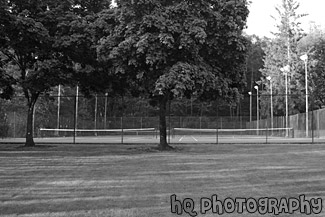 Grass, Trees, and Tennis Court black and white picture