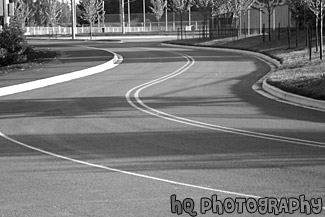 S-Curved Road With Shadows black and white picture