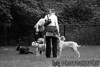 People Playing with Dogs in Dog Park black and white picture