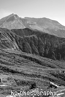 Mt. St. Helens Vertical black and white picture