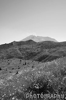 Mt. Saint Helens in Distance black and white picture