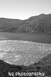 Spirit Lake & Logs black and white picture