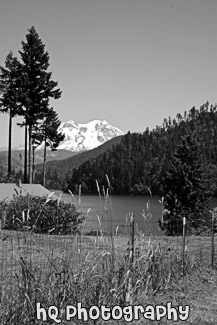 Mt. Rainier in Distance black and white picture