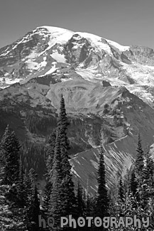 Vertical Mt. Rainier Close Up black and white picture