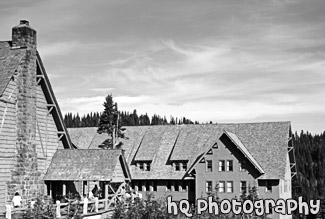 Paradise Inn Close Up black and white picture