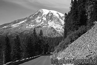 Road Leading to Mt. Rainier black and white picture