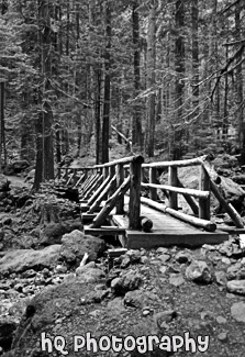 Hike & Wooden Bridge black and white picture