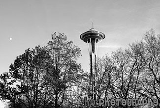 Space Needle at Dusk black and white picture