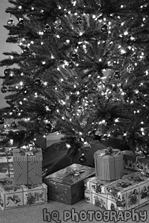 Presents Under Christmas Tree black and white picture