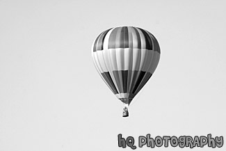 Hot Air Balloon Digital Art black and white picture