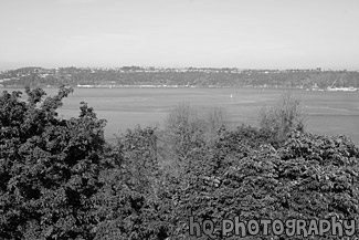 Commencement Bay in Autumn black and white picture